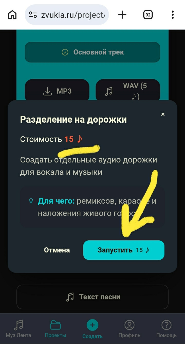 Окно «Разделение на дорожки» с кнопкой «Запустить 15»
