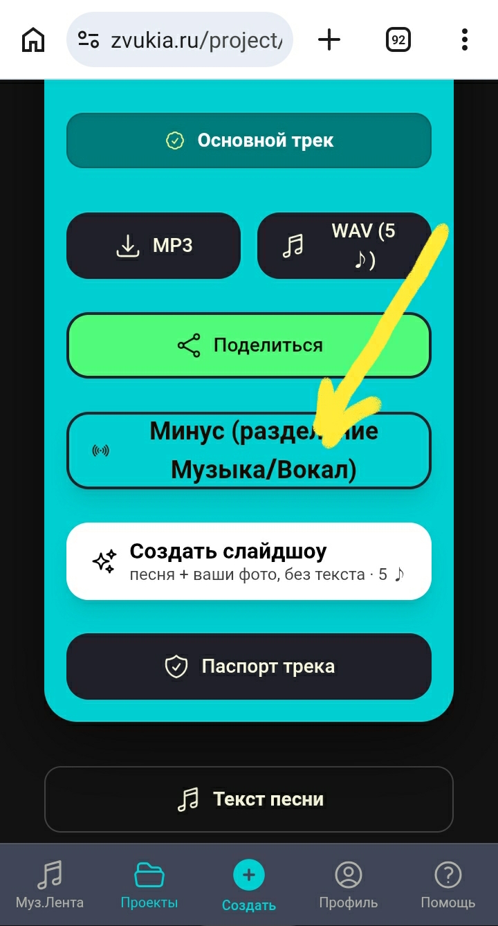 Кнопка «Минус (разделение Музыка/Вокал)» на странице трека