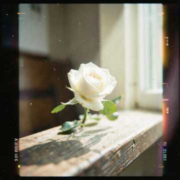 L'amour n'attend pas