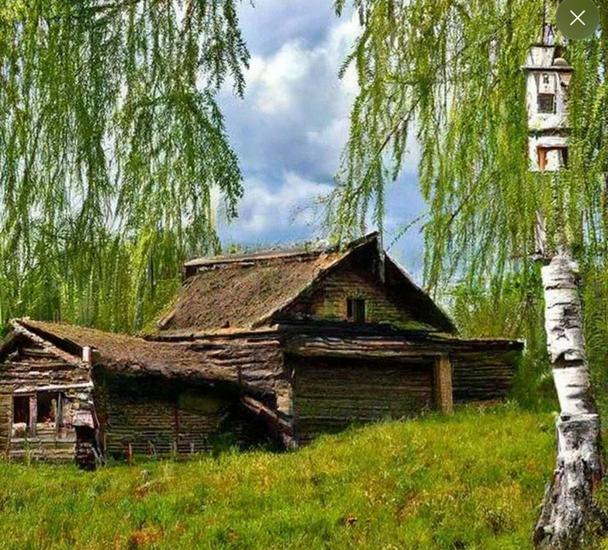 Поклон вам земной