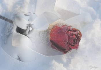 В душе и сердце распускаются розы🌹