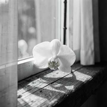L'amour Doux