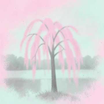 Черёмухи цвет